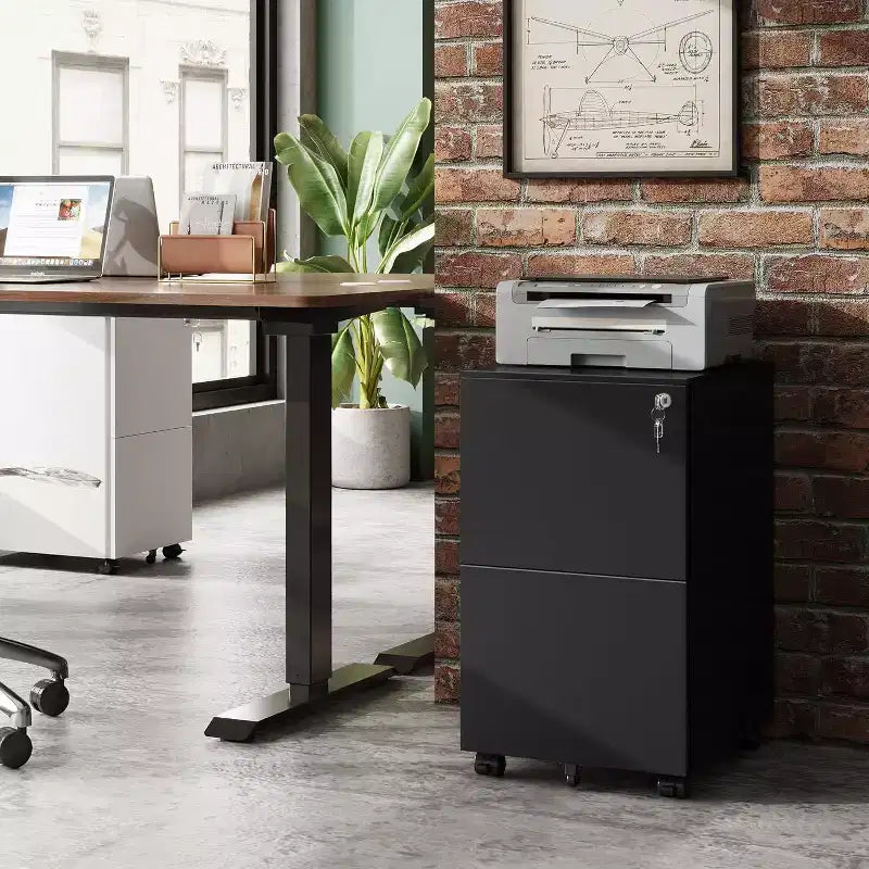 DEXYLLO Classeur mobile 2 tiroirs avec serrure, armoire verticale commerciale pour bureau à domicile, rangement sous le bureau