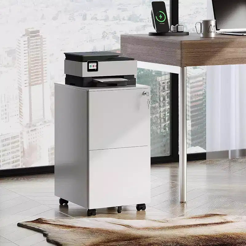 DEXYLLO Classeur mobile 2 tiroirs avec serrure, armoire verticale commerciale pour bureau à domicile, rangement sous le bureau