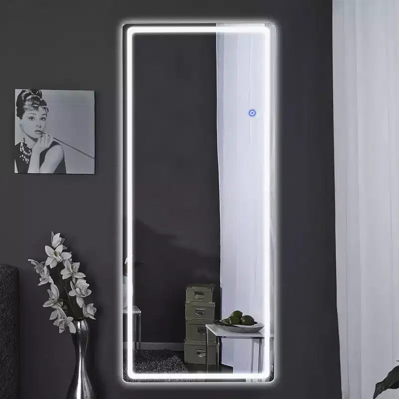 PexFix Miroir rectangulaire moderne sans cadre 20 x 63 avec coins arrondis, argent