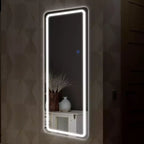 PexFix Miroir rectangulaire moderne sans cadre 20 x 63 avec coins arrondis, argent