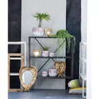 Miroir mural décoratif Golden Wing 22 x 16 pouces