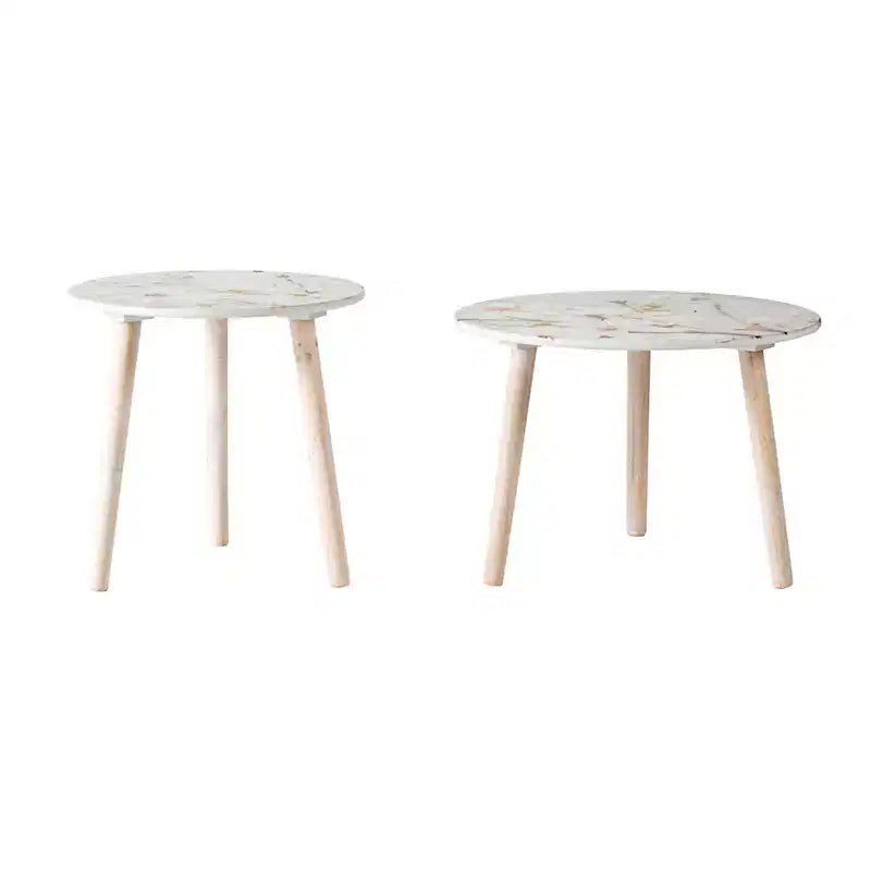 Lot de 2 tables d'appoint assorties pour salon