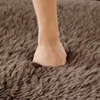 Canapé modulaire 2 places, Tissu peluche doux, Dessous antidérapant, Éponge HD 32D, Aucun assemblage, Conception ergonomique, Avec coussins de salon
