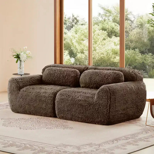 Canapé modulaire 2 places, Tissu peluche doux, Dessous antidérapant, Éponge HD 32D, Aucun assemblage, Conception ergonomique, Avec coussins de salon