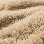Canapé modulaire 2 places, Tissu peluche doux, Dessous antidérapant, Éponge HD 32D, Aucun assemblage, Conception ergonomique, Avec coussins de salon
