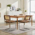 TUYOHW Lot de 2 chaises de salle à manger modernes, chaises d'appoint avec dossier en rotin naturel, base en acier chromé, chaises en rotin rembourrées en lin pour salle à manger