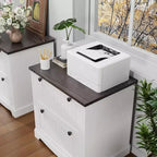 Meuble Classeur à 2 Tiroirs, Classeur Latéral avec Cadres Suspendus pour Documents Format A4/Lettre/Légal, Meuble de Rangement Rustique en Bois pour Bureau à Domicile