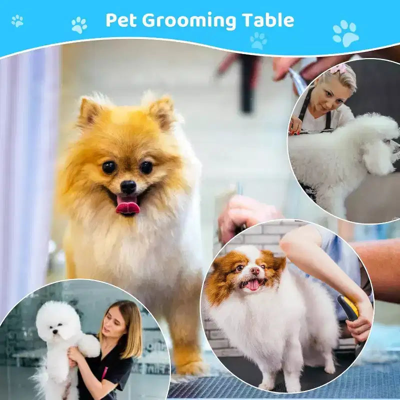 Table de toilettage professionnelle hydraulique pour chiens de petite, moyenne et grande taille, table réglable robuste avec bras supérieur et 3 laisses, hauteur 56-99 cm