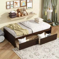 Twin Size Platform Bed with Drawers, Wood Daybed with Storage for Bedroom