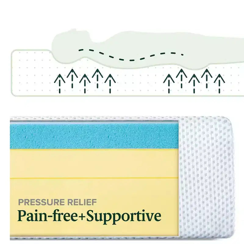 Matelas en mousse à mémoire de forme rafraîchissante Zinus au thé vert de 25 cm, Queen, sans fibre de verre, fermeté moyenne, mousse de gel rafraîchissante, mousses et tissus certifiés sûrs.