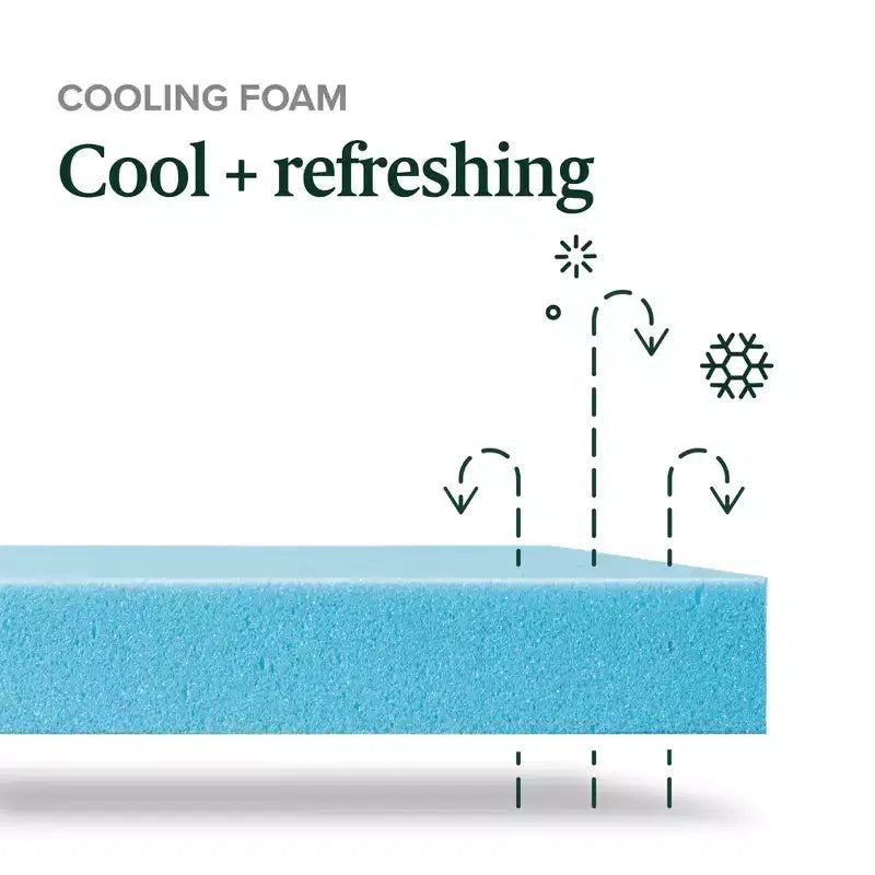 Matelas en mousse à mémoire de forme rafraîchissante Zinus au thé vert de 25 cm, Queen, sans fibre de verre, fermeté moyenne, mousse de gel rafraîchissante, mousses et tissus certifiés sûrs.