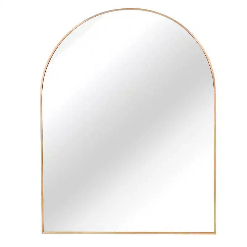 Miroir mural décoratif arqué 30 x 40, grand miroir de vanité moderne avec cadre en alliage d'aluminium pour entrée, salle de bain - Panipeachy