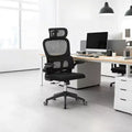 High Back Ergonomic Office Chair, Mesh Desk Chair with Adjustable Lumbar Support, Swivel Rolling Computer Chair for Home Office-Panipeachy