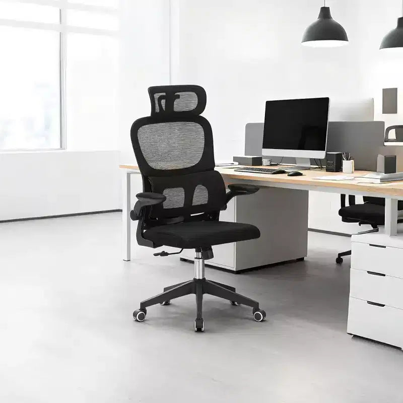 High Back Ergonomic Office Chair, Mesh Desk Chair with Adjustable Lumbar Support, Swivel Rolling Computer Chair for Home Office-Panipeachy