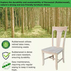 Lot de 2 chaises sans accoudoirs Elle non finies - International Concepts